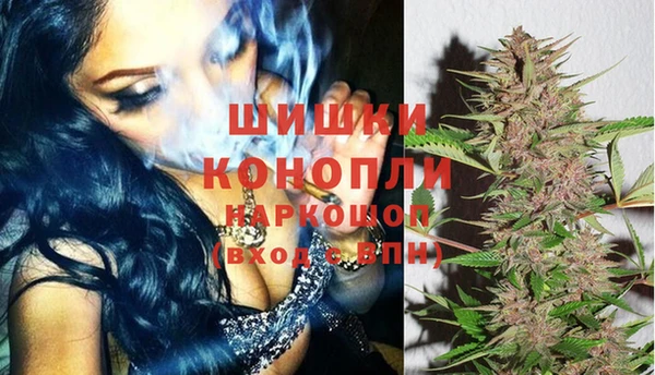 стафф Верхний Тагил