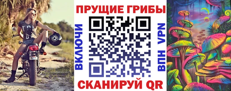 цена   Сосногорск  Псилоцибиновые грибы GOLDEN TEACHER 