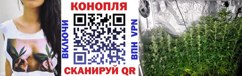 Бошки марихуана White Widow  Сосногорск 